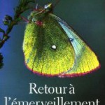 Bertrand Vergely - Retour à l'émerveillement